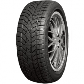 RoadX 255/45 R20 RXEROST WU01 110V 